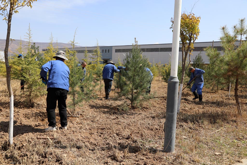 星火機床物業(yè)公司開展樹木移栽活動